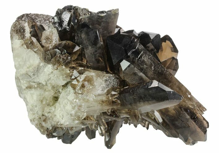 Gorgeous, Dark Smoky Quartz Crystal Cluster - Brazil #124611